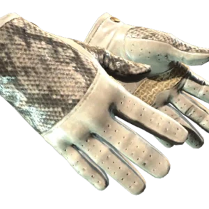 ★ Driver Gloves | King Snake (Usura minima)