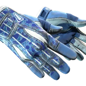 ★ Sport Gloves | Amphibious (Field-Tested)