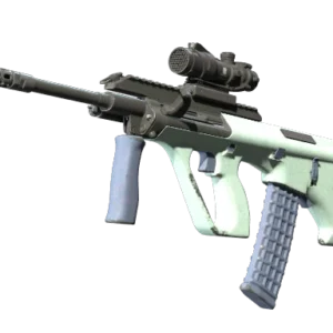 Souvenir AUG | Storm (Well-Worn)