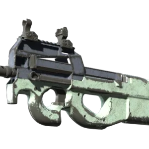 P90 | Storm (Battle-Scarred)