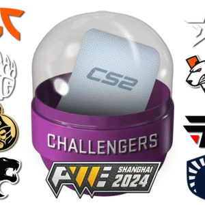 Shanghai 2024 Challengers Sticker Capsule