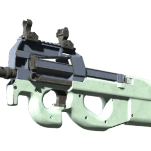 P90 | Storm (Well-Worn)