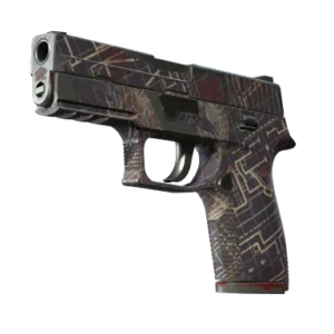 P250 | Facility Draft (Feldgetestet)