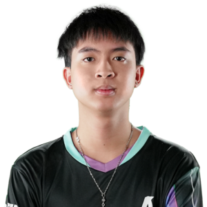 23savage Player Sticker - TI 2024