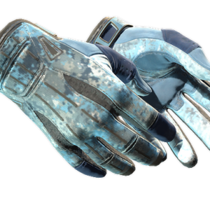 ★ Sport Gloves | Frosty (Desgaste Mínimo)